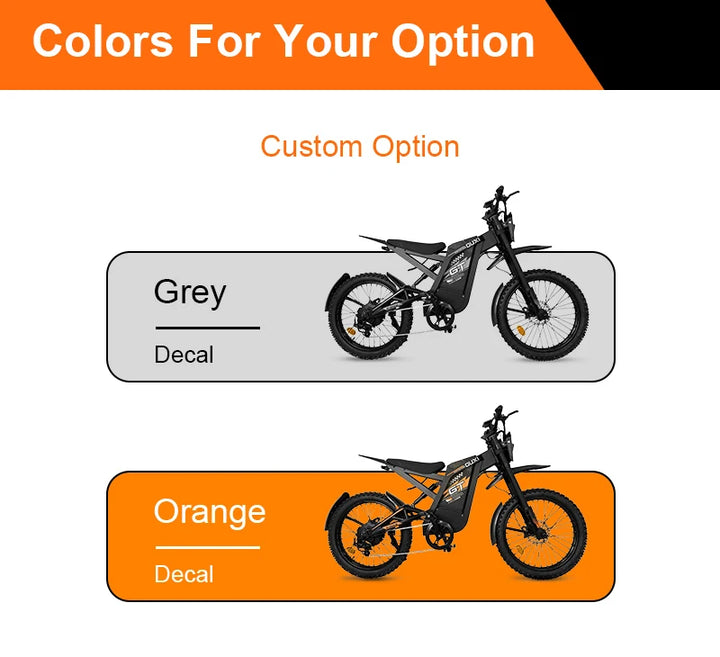 STLF  Factory Wholesale Cheap Price Electric Mountain Bike Steel Frame Lithium Battery Ebike Electric Dirt Bike GT2000 for A