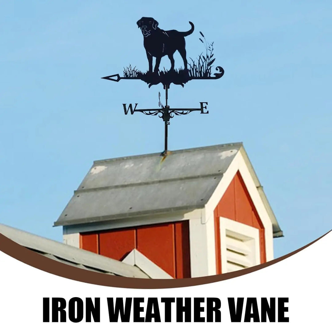 Weathervane, Metal Outdoor Garden Ironwork, Roof Courtyard Garden Decoration, Creative Furniture Chicken, Witch, Housewares New