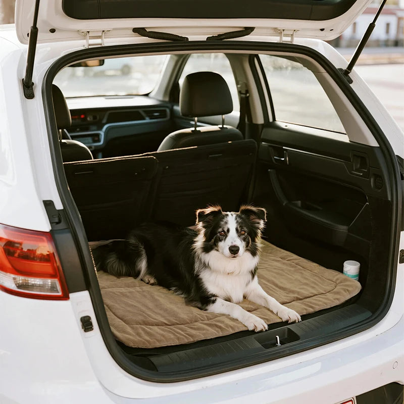Pet Dog Picnic Travel Mat Waterproof Foldable Portable Bed Blankets Outdoor Universal All Breeds Dog Lightweight Camping Mat