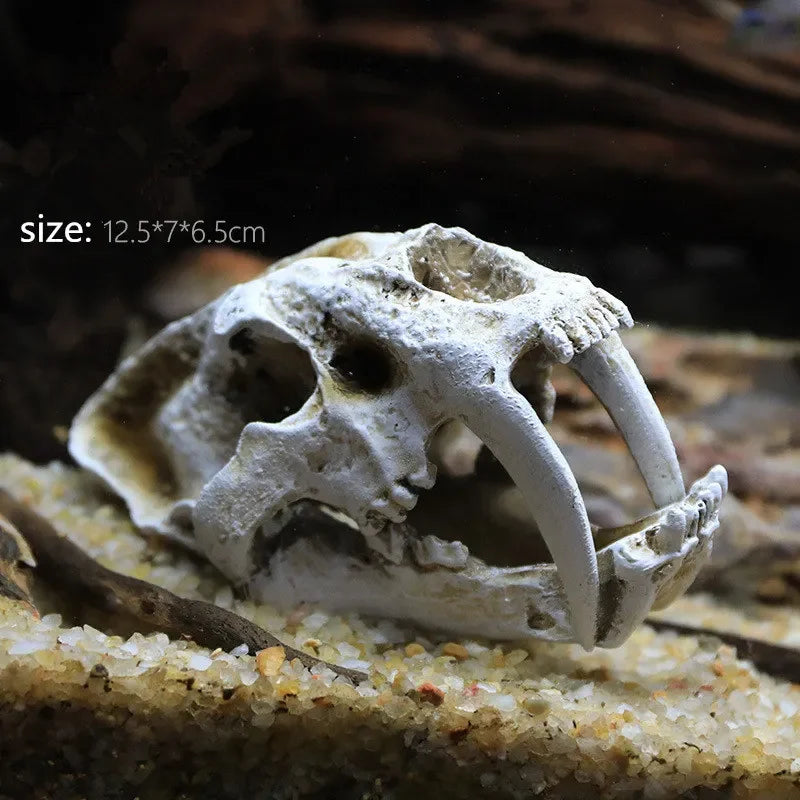 Fossil Statue of Erathia Dragon Elder Skull Fossil Statue for Medieval Dragon Age Fans Game of Thrones Dungeon and Dragon lovers