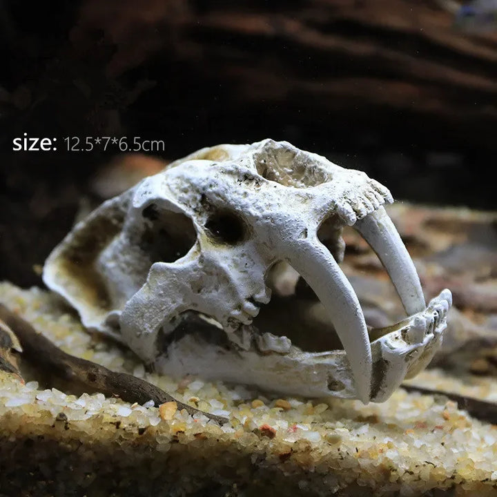 Fossil Statue of Erathia Dragon Elder Skull Fossil Statue for Medieval Dragon Age Fans Game of Thrones Dungeon and Dragon lovers