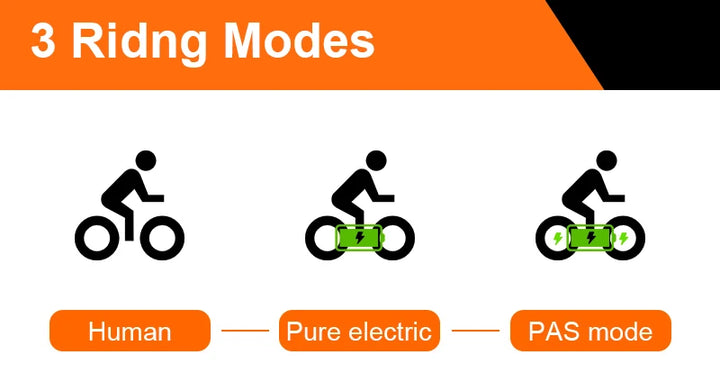 STLF  Factory Wholesale Cheap Price Electric Mountain Bike Steel Frame Lithium Battery Ebike Electric Dirt Bike GT2000 for A