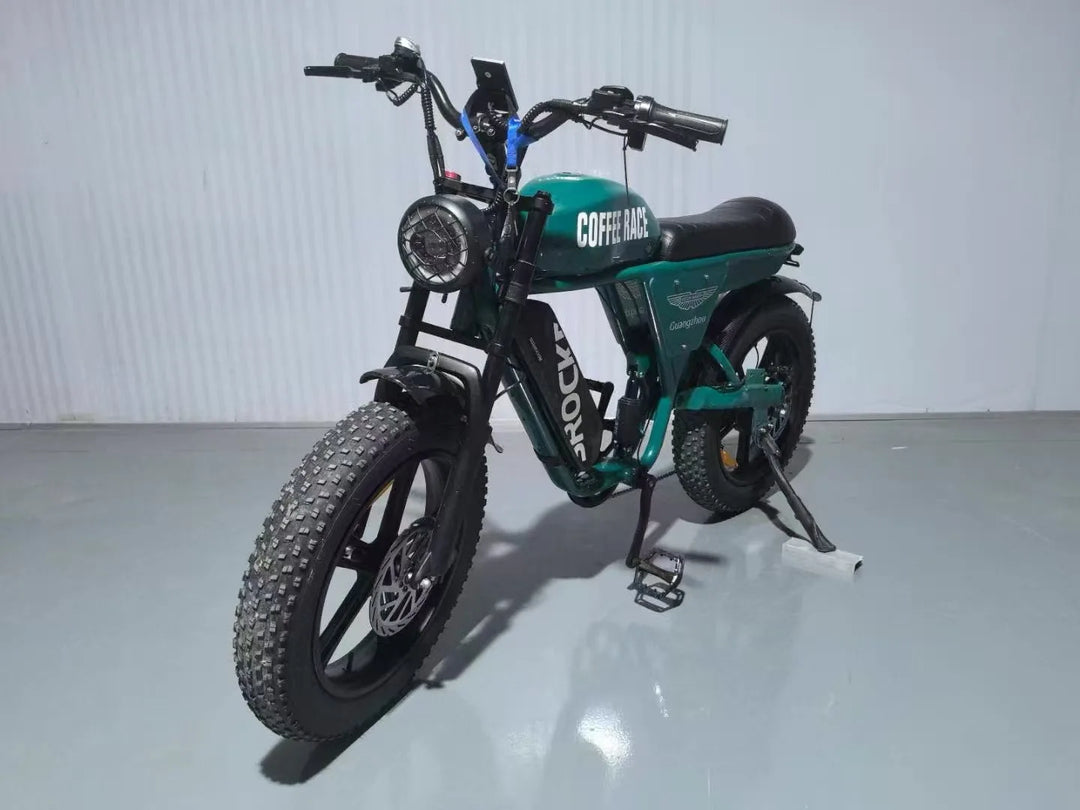 STLF 20 inch snow electric power bicycle retro motorcycle electric bicycle