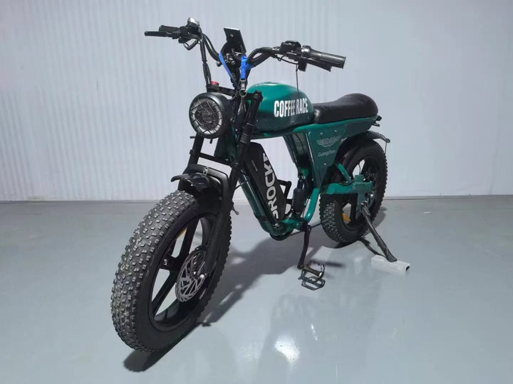STLF 20 inch snow electric power bicycle retro motorcycle electric bicycle