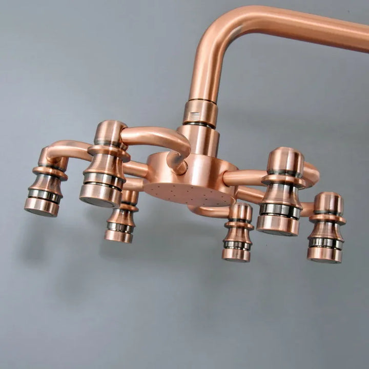 Bathroom Accessory /Antique Red Copper Bathroom 8" inch Round Rainfall Rain Shower Heads & Wall Mounted Shower Arm  Lzh374