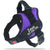 Personalised No Pull Dog Harness with Custom Name and Phone Number Heavy Duty Pet Vest To Prevent Tugging Pulling Choking