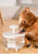 USB Electric Mute 1L Pet Water Fountain Automatic Cat Drink Bowl Filter Pet Drinking Dispenser Drinker For Cats Water Filter