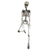 90cm Fake Human Skull Bones Skeleton Halloween Movable Skeleton Halloween Party Home Bar Decorations Haunted House Horror Props