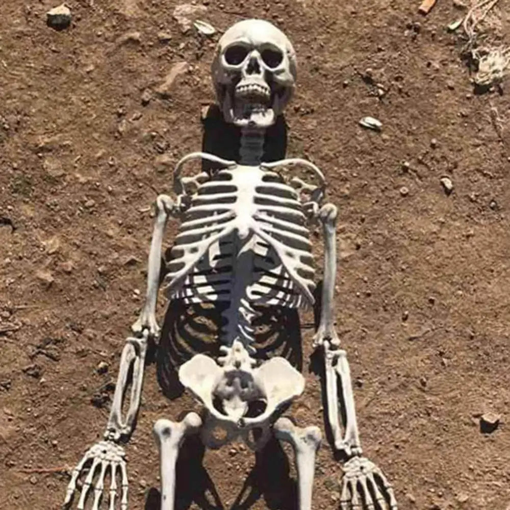 90cm Fake Human Skull Bones Skeleton Halloween Movable Skeleton Halloween Party Home Bar Decorations Haunted House Horror Props