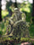 Tree Elfs Garden Stake Fairy Garden Stake Decoration Acrylic Yard Sign 2D Flat Spring Lawn Signs Garden Yard Lawn Decoration