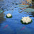 6PCS Lotus Artificial Flower Floating Fake Lotus Plant Lifelike Water Lily Micro Landscape for Pond Garden Decor