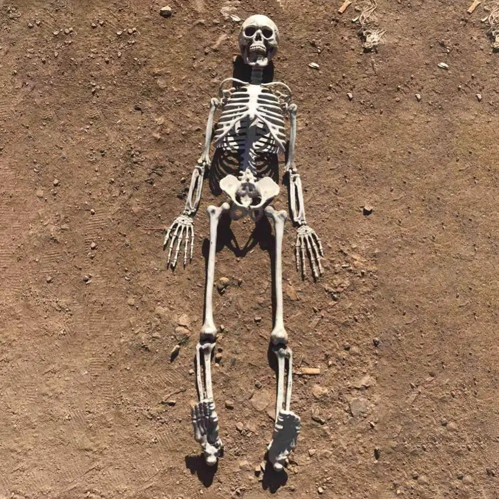 90cm Fake Human Skull Bones Skeleton Halloween Movable Skeleton Halloween Party Home Bar Decorations Haunted House Horror Props