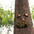 1pc Old Man Tree Hugger Garden Patio Outdoor Tree Sculpture Face Funny Garden Tree Old Fashioned Whimsical Face Decor，Pipe shape