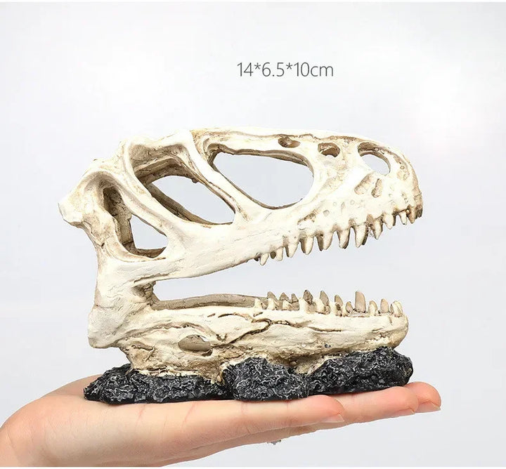 Fossil Statue of Erathia Dragon Elder Skull Fossil Statue for Medieval Dragon Age Fans Game of Thrones Dungeon and Dragon lovers