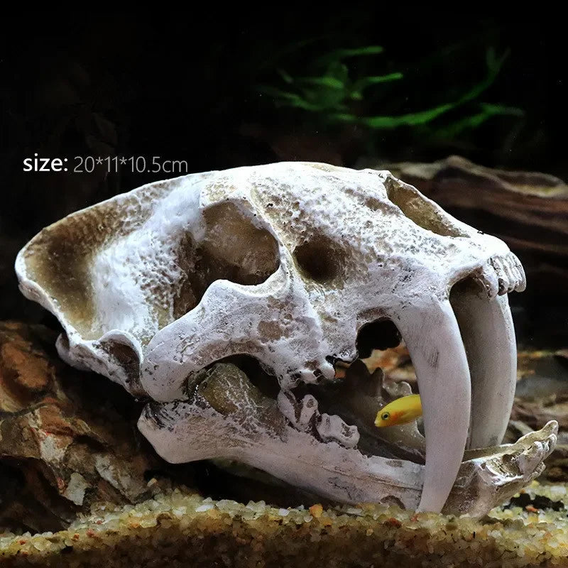 Fossil Statue of Erathia Dragon Elder Skull Fossil Statue for Medieval Dragon Age Fans Game of Thrones Dungeon and Dragon lovers