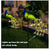 Solar Powered LED Lawn Peacock/Watering Can/ Rose Waterproof  Landscape Garden Lawn Lights