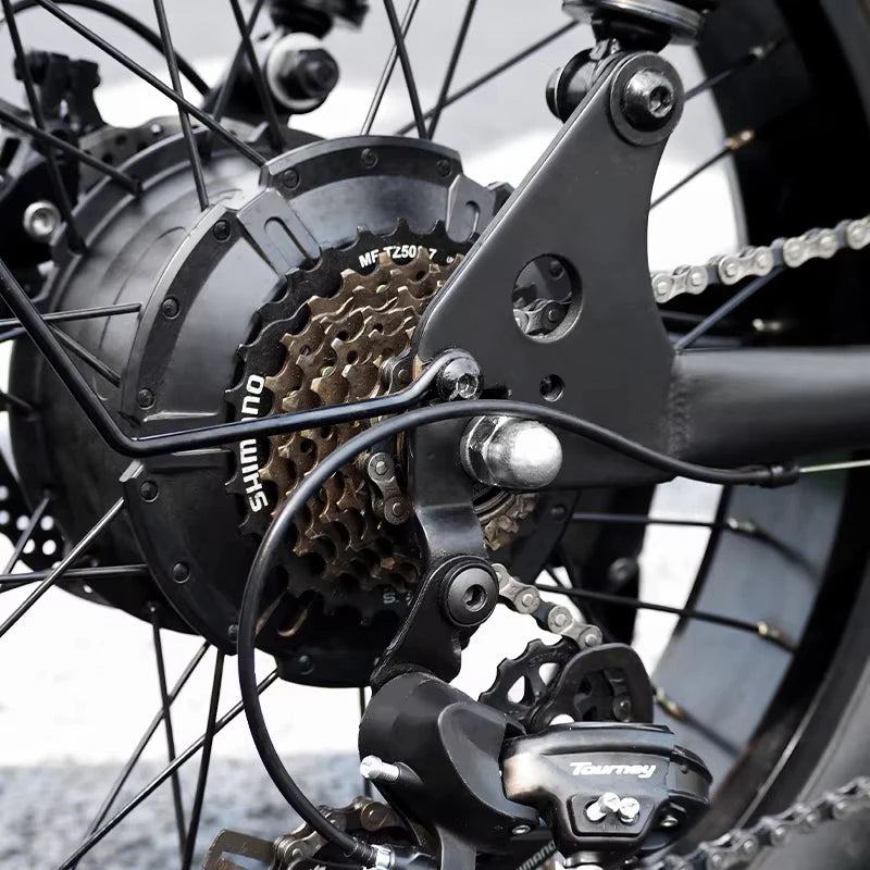15.6Ah*2 Dual Battery Fat Tire Electric Bike Fat Tyre  E Bicycle Fat Bike Electric Dirt Bike 48V 1000W 2000w Brushless Motors