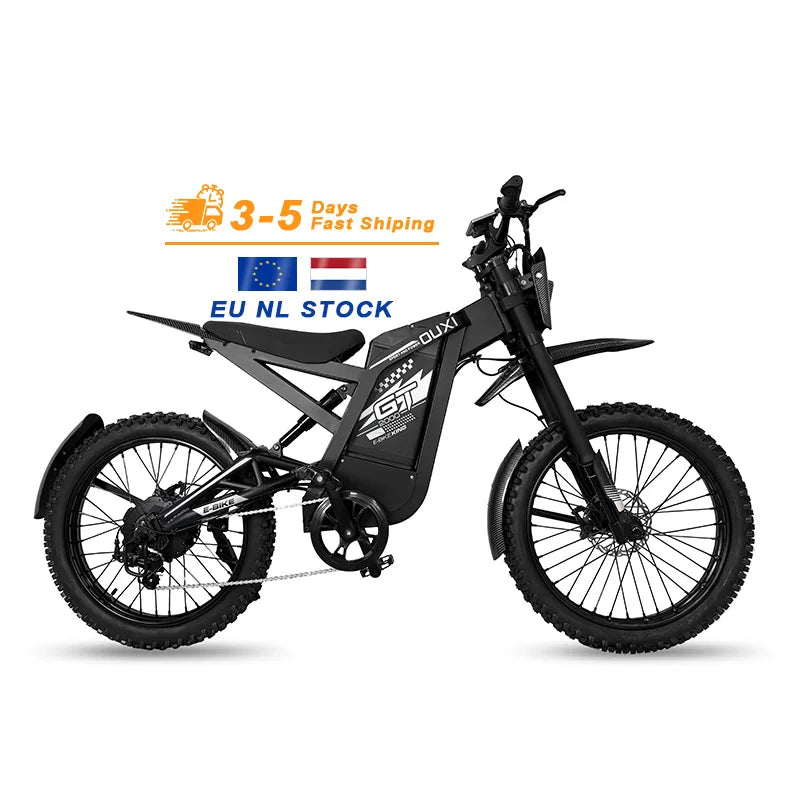 STLF  Factory Wholesale Cheap Price Electric Mountain Bike Steel Frame Lithium Battery Ebike Electric Dirt Bike GT2000 for A