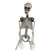90cm Fake Human Skull Bones Skeleton Halloween Movable Skeleton Halloween Party Home Bar Decorations Haunted House Horror Props