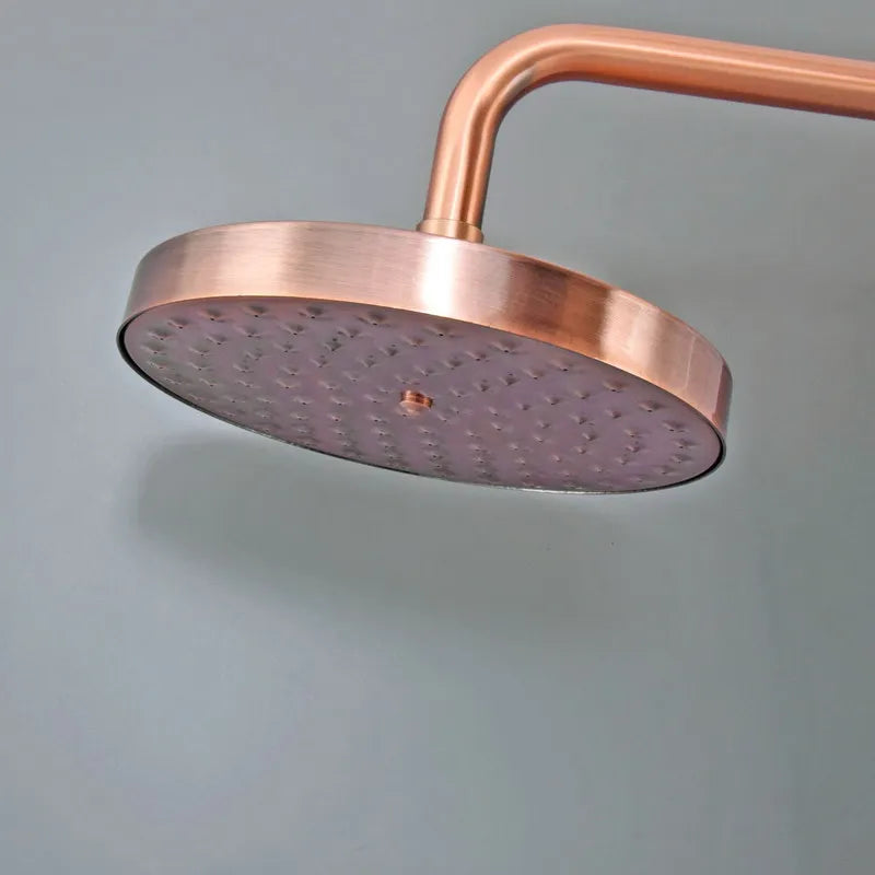 Bathroom Accessory /Antique Red Copper Bathroom 8" inch Round Rainfall Rain Shower Heads & Wall Mounted Shower Arm  Lzh374