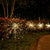 LED Solar Power Firework Lights Garden Decoration Fairy Lights Waterproof Outdoor Dandelion Lawn Lamp for Patio Garden Decor
