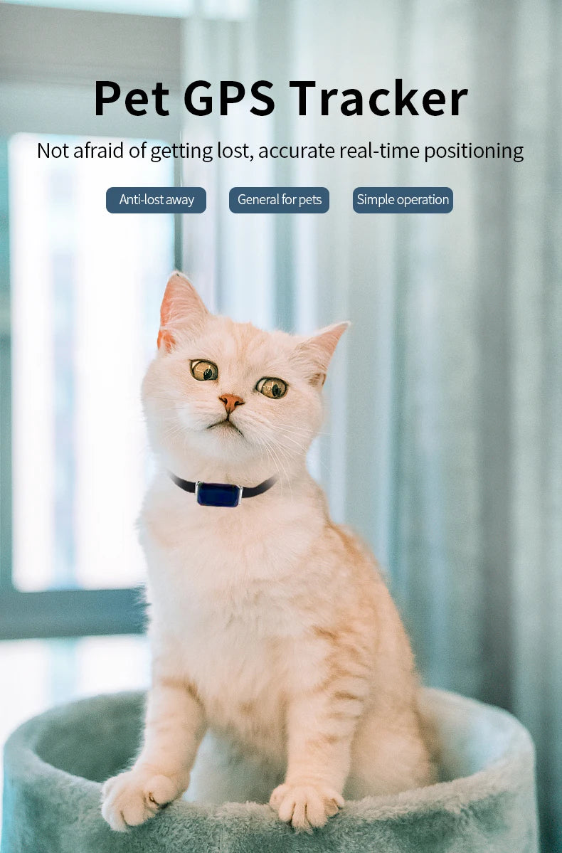 Wifi intelligent remote positioning pet GPS locator Beidou waterproof collar dog cat, cattle, sheep, horse and dog loss device