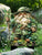 Tree Elfs Garden Stake Fairy Garden Stake Decoration Acrylic Yard Sign 2D Flat Spring Lawn Signs Garden Yard Lawn Decoration