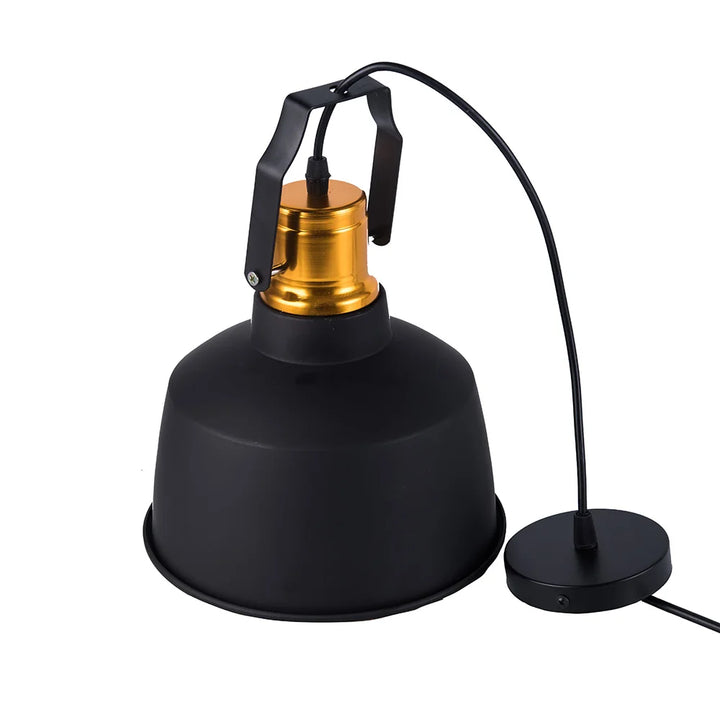 Gold black Led pendant light with E27 lamp base hang lamp modern pendant with AC110V AC220V  high power 12W bright bulb