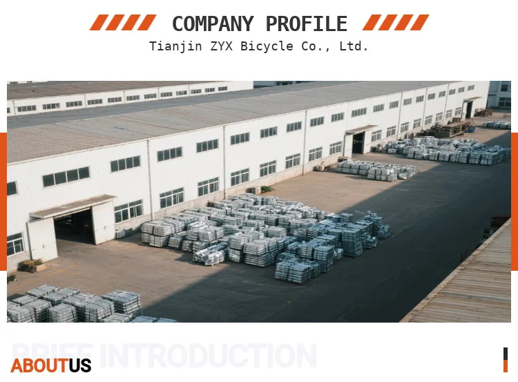 E MTB ETB Bike 48V 750W Carbon Full Suspension Bike Midmotor 750KW Electric Mountain Bike Bicycle