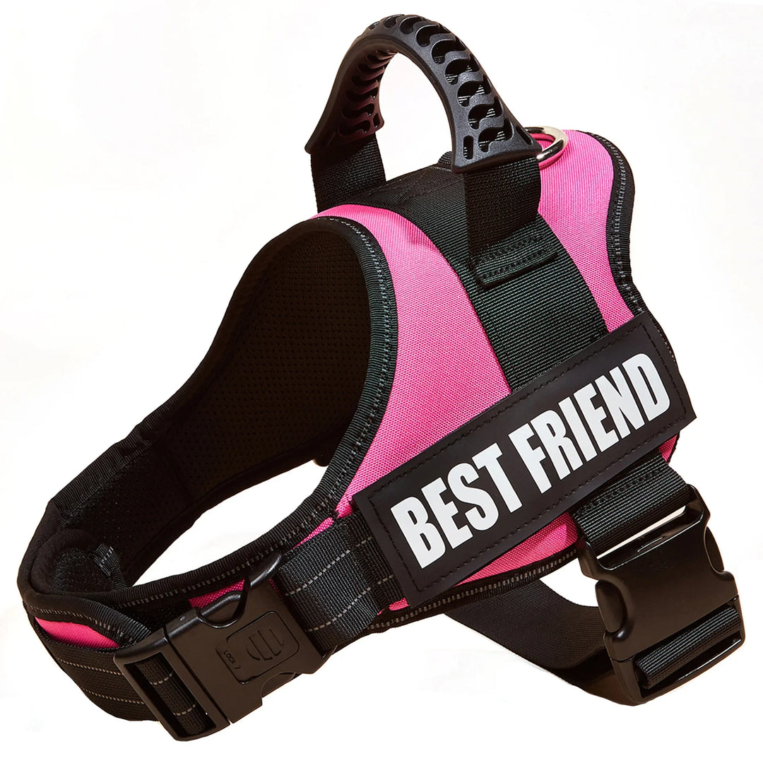 Personalised No Pull Dog Harness with Custom Name and Phone Number Heavy Duty Pet Vest To Prevent Tugging Pulling Choking