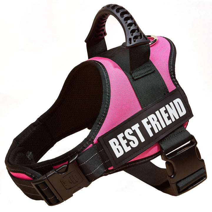 Personalised No Pull Dog Harness with Custom Name and Phone Number Heavy Duty Pet Vest To Prevent Tugging Pulling Choking