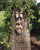 Outdoor Tree Face Statues Old Man Tree Hugger Bark Ghost Face  Funny Yard Art Tree Decor Outdoor Garden