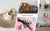 Round Pet Bed for Large Dog Bed Donut Long Plush Cat Bed for Medium Dog House Winter Warm Sleeping Pet Kennel Removable Dog Sofa