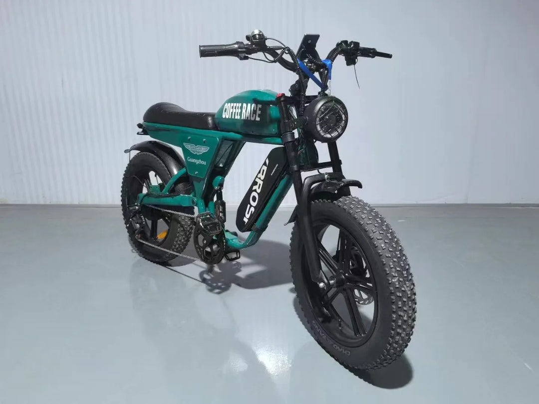 STLF 20 inch snow electric power bicycle retro motorcycle electric bicycle