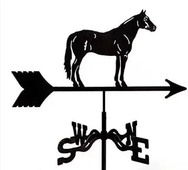Metal Weathervane,Witch Iron Weather Vane,Sea Rover Wind Direction Indicator,Garden Outdoor Roof Decoration,