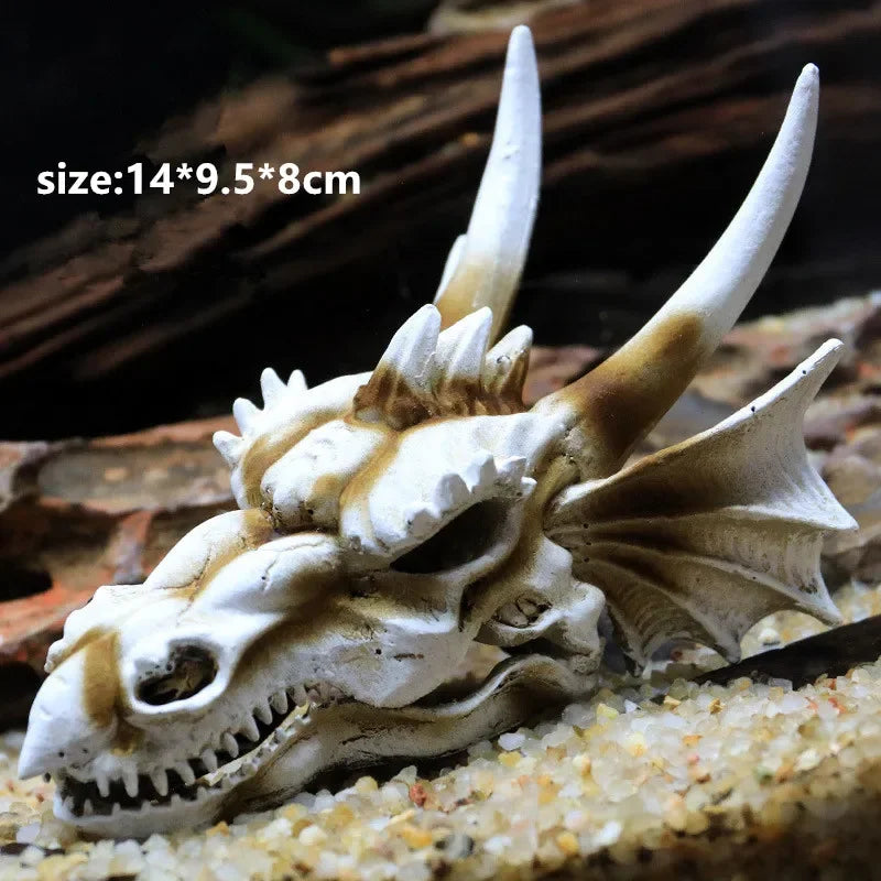 Fossil Statue of Erathia Dragon Elder Skull Fossil Statue for Medieval Dragon Age Fans Game of Thrones Dungeon and Dragon lovers