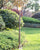 (≈ 1.8M) Outdoor Lawn Lamp European Waterproof Garden Lawn Lamp Outdoor Led  Single Aisle High Pole Street Lamp