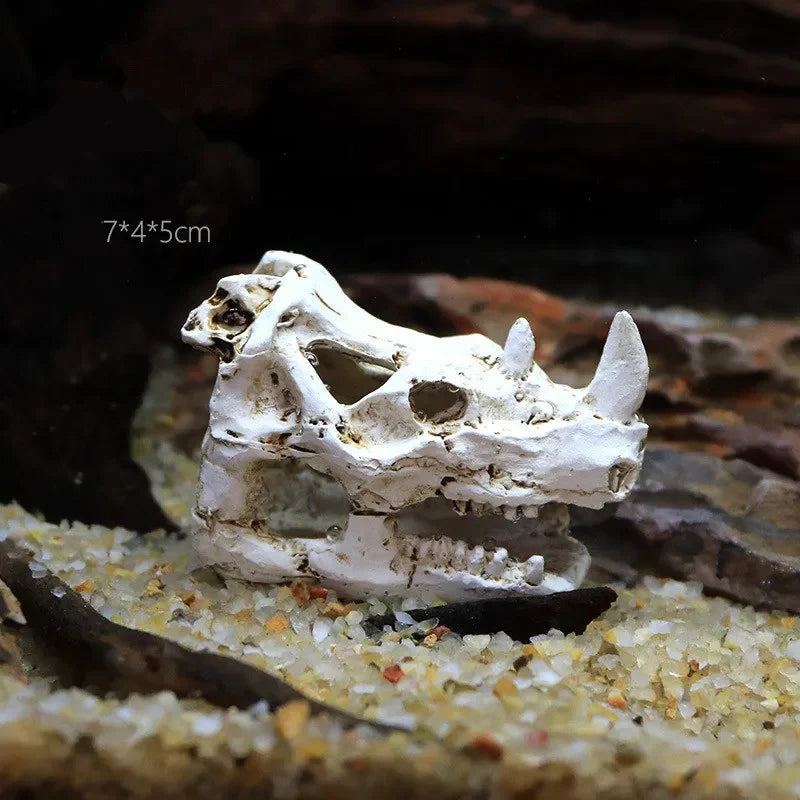 Fossil Statue of Erathia Dragon Elder Skull Fossil Statue for Medieval Dragon Age Fans Game of Thrones Dungeon and Dragon lovers