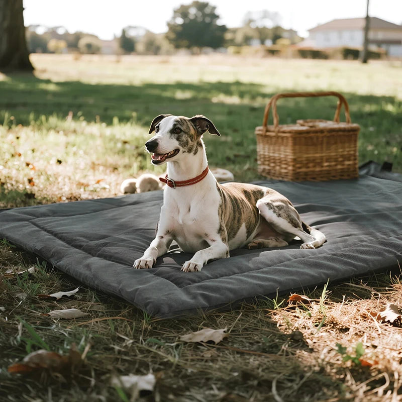 Pet Dog Picnic Travel Mat Waterproof Foldable Portable Bed Blankets Outdoor Universal All Breeds Dog Lightweight Camping Mat
