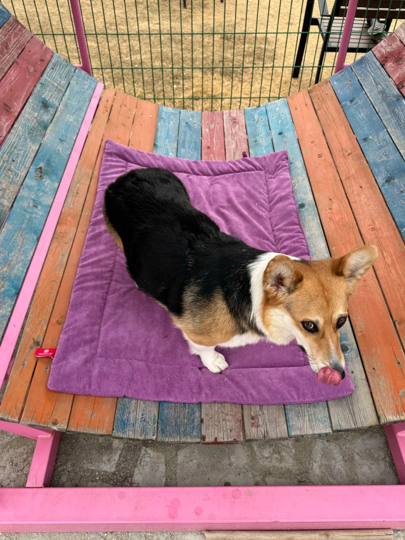 Pet Dog Picnic Travel Mat Waterproof Foldable Portable Bed Blankets Outdoor Universal All Breeds Dog Lightweight Camping Mat