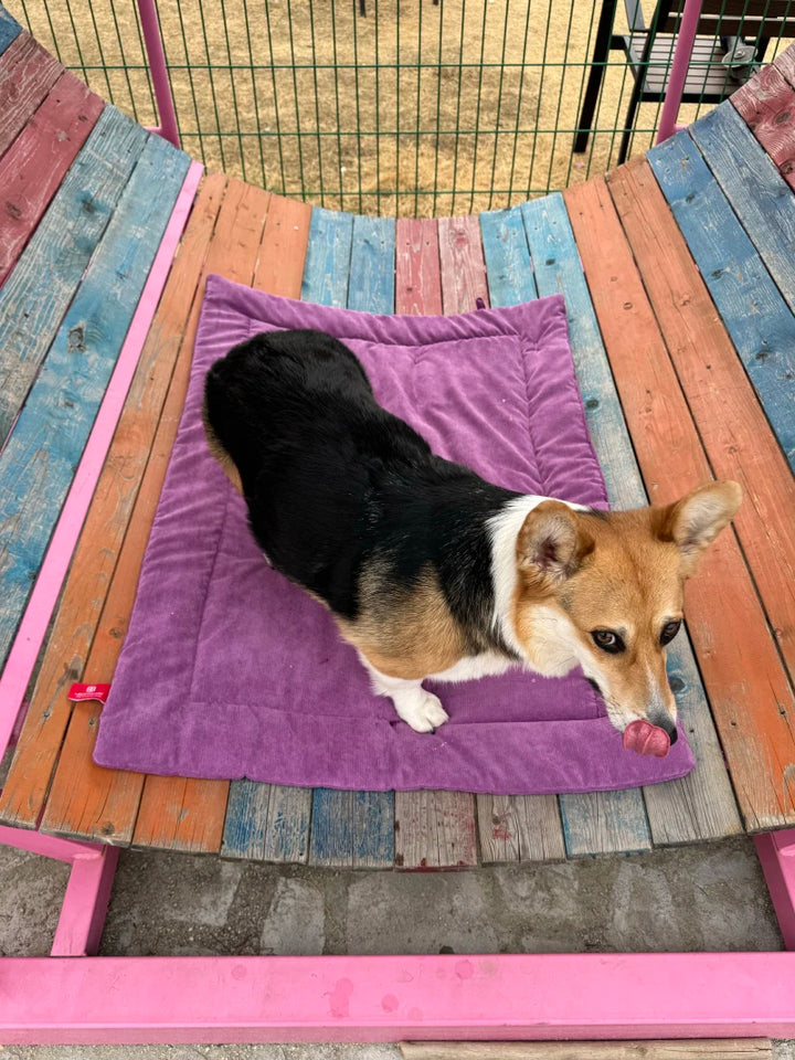 Pet Dog Picnic Travel Mat Waterproof Foldable Portable Bed Blankets Outdoor Universal All Breeds Dog Lightweight Camping Mat