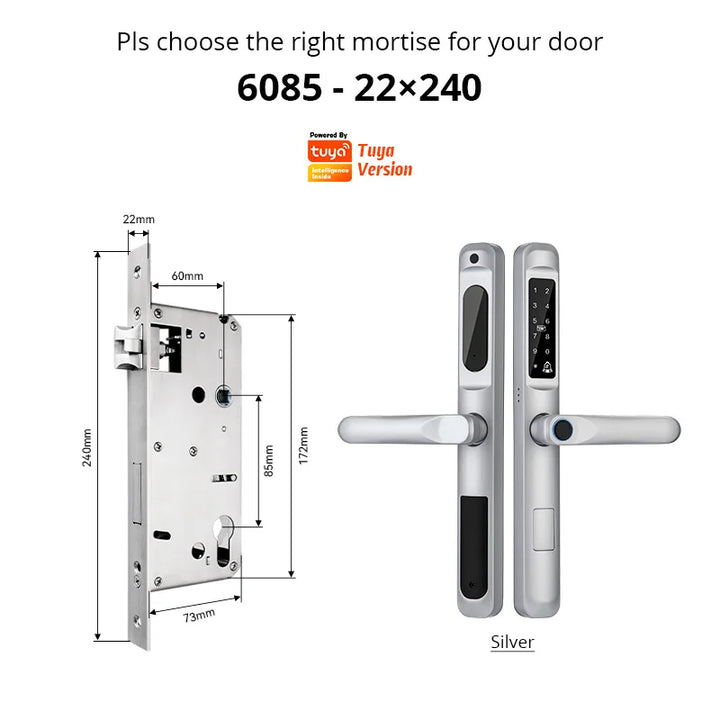 Tuya WiFi App waterproof Smart Door Lock Aluminum Biometric lock fingerprint door handle Digital Keyless lock for Glass Sliding