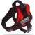 Personalised No Pull Dog Harness with Custom Name and Phone Number Heavy Duty Pet Vest To Prevent Tugging Pulling Choking