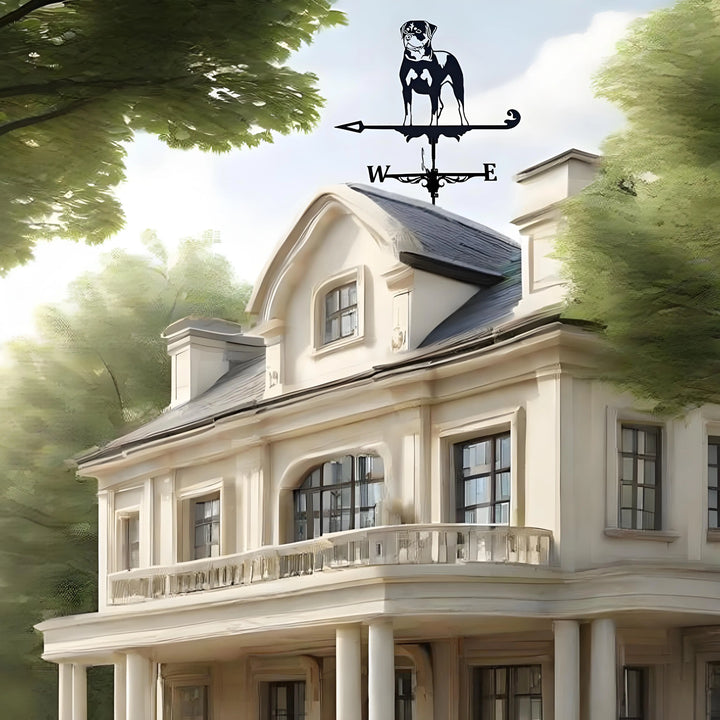 Weather Vane Metal Weathervanes Wind Direction Indicators, Metal Wind Vanes Signs for Roof Mount, Farmhouse Courtyard Decoration