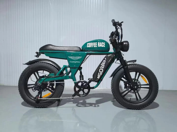 STLF 20 inch snow electric power bicycle retro motorcycle electric bicycle