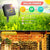1pc Solar Curtain String Lights Outdoor Fairy Lights Solar Powered Twinkle String Lights 8 Modes For Home Garden P