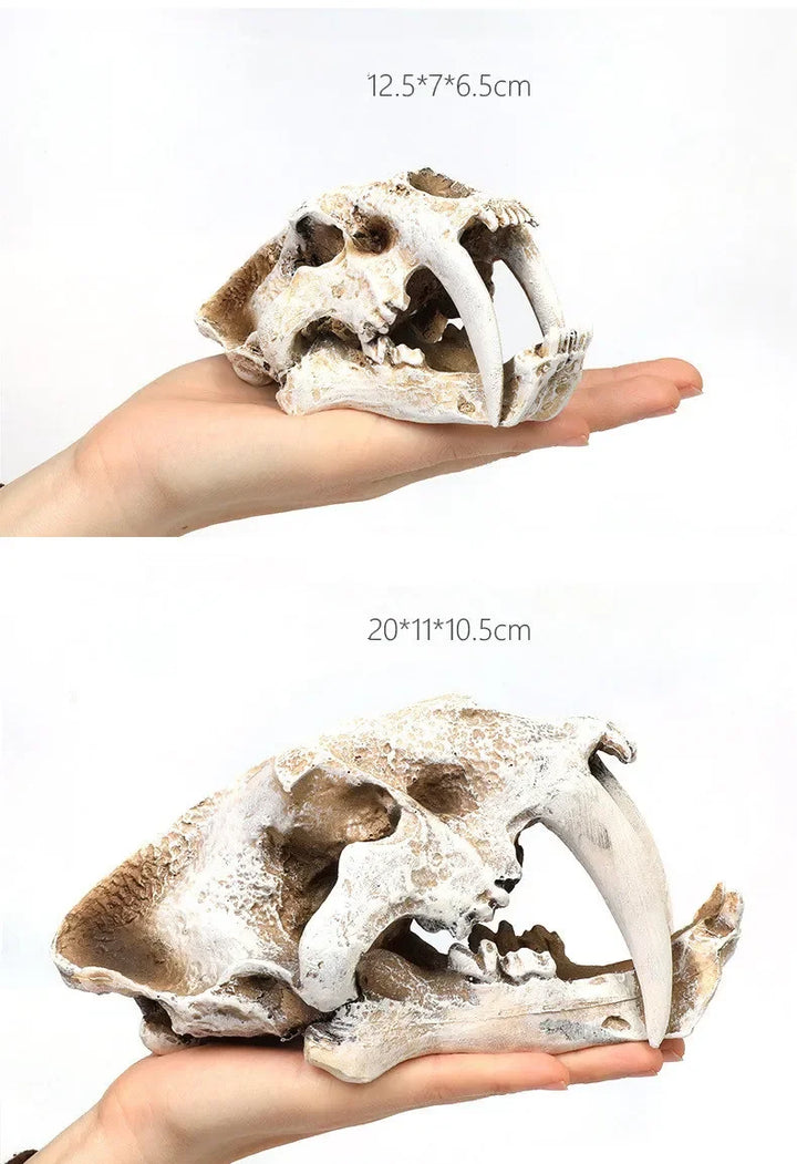 Fossil Statue of Erathia Dragon Elder Skull Fossil Statue for Medieval Dragon Age Fans Game of Thrones Dungeon and Dragon lovers