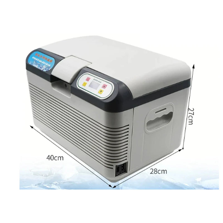 Dual Charging Portable Car Refrigerator, 12V Car 220V Home Mini Fridge with Carry Strap