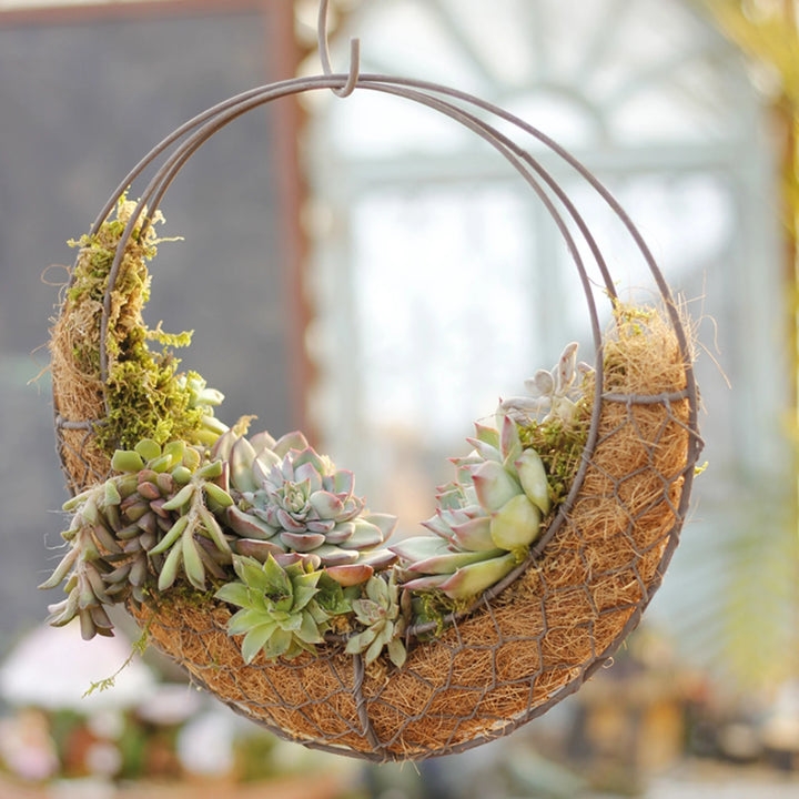 Metal Hanging Basins Crescent-Shaped Metal Hanging Baskets Wire Mesh Wreath Hangers Succulent Hanging Plant Hangers
