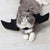 Bat Wing Clothes For Cats Puppy Dogs  Halloween Party  Costume